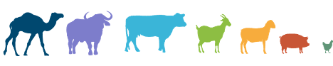 Species currently covered in GLEAM