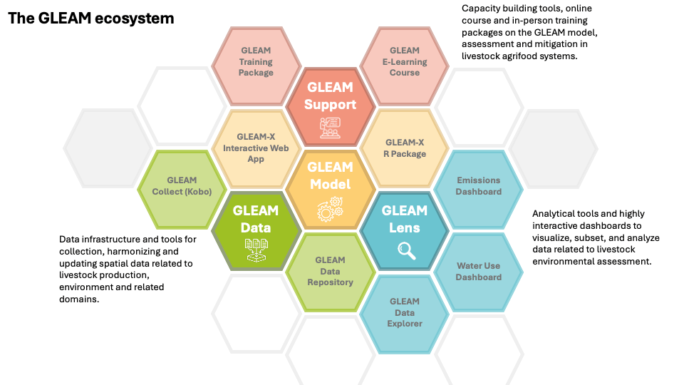 The GLEAM model within the GLEAM ecosystem